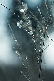 《瘟疫危机》开发商解释下架原因：游戏落伍了